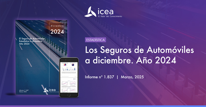 El Seguro de Automóviles. Estadística a diciembre. Año 2024